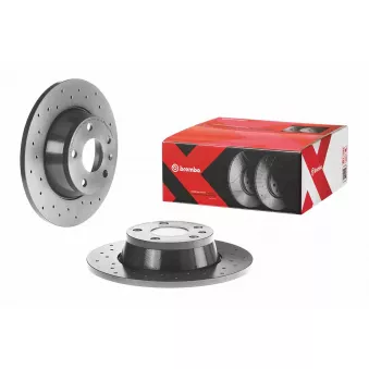 Jeu de 2 disques de frein arrière BREMBO 08.9769.1X