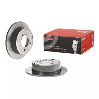Jeu de 2 disques de frein arrière BREMBO 08.A114.31