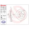 Jeu de 2 disques de frein arrière BREMBO 08.C250.10 - Visuel 2