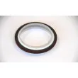 Bague d'étanchéité, vilebrequin CORTECO 49359771 - Visuel 2