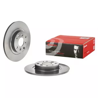 Jeu de 2 disques de frein arrière BREMBO 08.D223.11