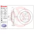Jeu de 2 disques de frein arrière BREMBO 08.R101.11 - Visuel 2
