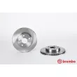 Jeu de 2 disques de frein avant BREMBO 09.3022.10 - Visuel 1