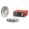 Jeu de 2 disques de frein avant BREMBO 09.3090.20 - Visuel 1