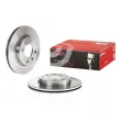 Jeu de 2 disques de frein avant BREMBO 09.3125.10 - Visuel 1