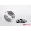 Jeu de 2 disques de frein avant BREMBO 09.4866.30 - Visuel 1