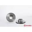 Jeu de 2 disques de frein avant BREMBO 09.4933.10 - Visuel 1