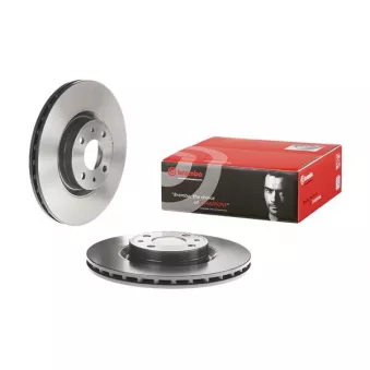 Jeu de 2 disques de frein avant BREMBO 09.4939.11