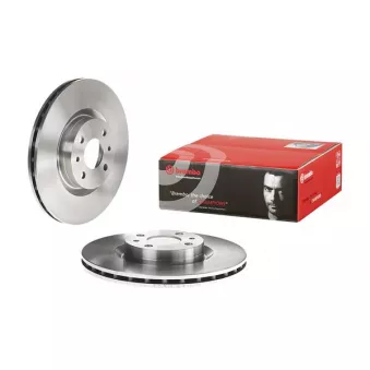 Jeu de 2 disques de frein avant BREMBO 09.4939.14