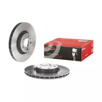 Jeu de 2 disques de frein avant BREMBO 09.4939.21