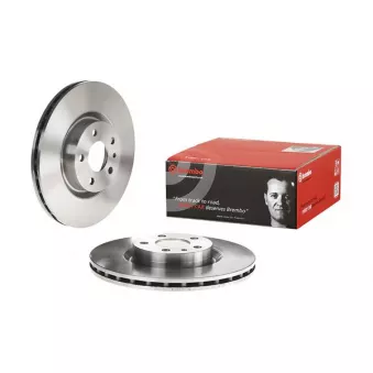 Jeu de 2 disques de frein avant BREMBO 09.4939.24