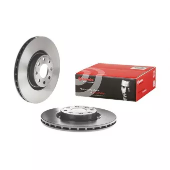 Jeu de 2 disques de frein avant BREMBO 09.4939.31