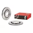 Jeu de 2 disques de frein avant BREMBO 09.4987.24 - Visuel 1
