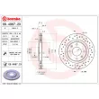 Jeu de 2 disques de frein avant BREMBO 09.4987.2X - Visuel 2
