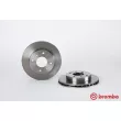 Jeu de 2 disques de frein avant BREMBO 09.5022.10 - Visuel 1