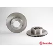 Jeu de 2 disques de frein avant BREMBO 09.5034.20 - Visuel 1