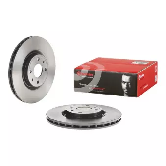 Jeu de 2 disques de frein avant BREMBO 09.5058.11
