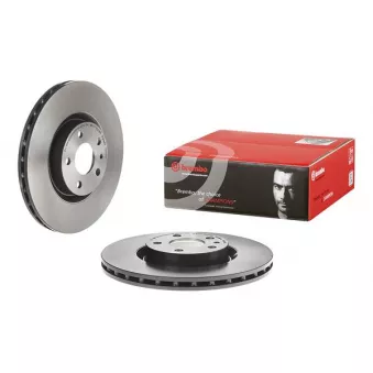 Jeu de 2 disques de frein avant BREMBO 09.5058.21