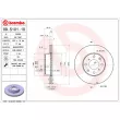 Jeu de 2 disques de frein avant BREMBO 09.5101.10 - Visuel 2