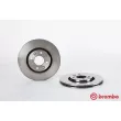 Jeu de 2 disques de frein avant BREMBO 09.5122.10 - Visuel 1