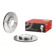 Jeu de 2 disques de frein avant BREMBO 09.5166.14 - Visuel 1