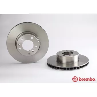Jeu de 2 disques de frein avant BREMBO 09.5175.20