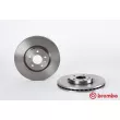 Jeu de 2 disques de frein avant BREMBO 09.5180.10 - Visuel 1