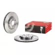 Jeu de 2 disques de frein avant BREMBO 09.5180.24 - Visuel 1