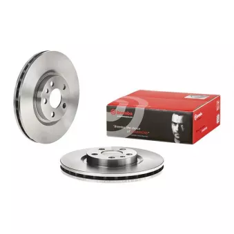 Jeu de 2 disques de frein avant BREMBO 09.5180.24
