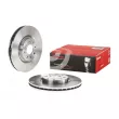 Jeu de 2 disques de frein avant BREMBO 09.5180.30 - Visuel 1
