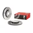 Jeu de 2 disques de frein avant BREMBO 09.5180.31 - Visuel 1