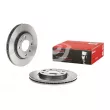 Jeu de 2 disques de frein avant BREMBO 09.5196.11 - Visuel 1