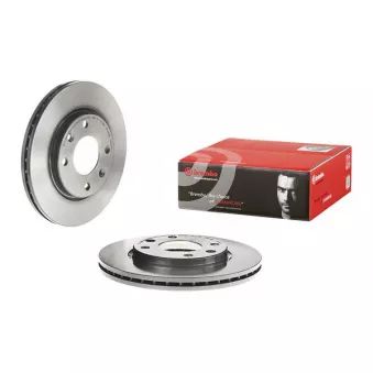 Jeu de 2 disques de frein avant BREMBO 09.5196.11