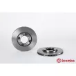 Jeu de 2 disques de frein avant BREMBO 09.5219.10 - Visuel 1