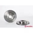 Jeu de 2 disques de frein avant BREMBO 09.5251.10 - Visuel 1