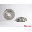 Jeu de 2 disques de frein avant BREMBO 09.5281.10 - Visuel 1