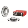 Jeu de 2 disques de frein avant BREMBO 09.5307.10 - Visuel 1