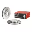 Jeu de 2 disques de frein avant BREMBO 09.5315.14 - Visuel 1