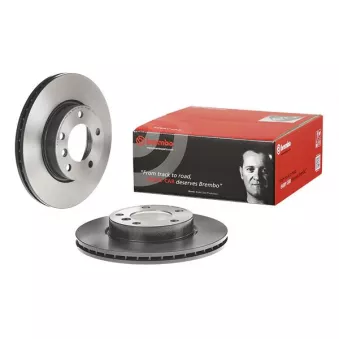Jeu de 2 disques de frein avant BREMBO 09.5390.31