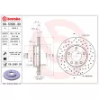 Jeu de 2 disques de frein avant BREMBO 09.5390.3X - Visuel 2