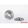 Jeu de 2 disques de frein avant BREMBO 09.5622.10 - Visuel 1