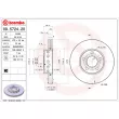 Jeu de 2 disques de frein avant BREMBO 09.5724.20 - Visuel 2