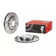 Jeu de 2 disques de frein avant BREMBO 09.5802.24 - Visuel 1