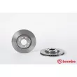 Jeu de 2 disques de frein avant BREMBO 09.5854.10 - Visuel 1