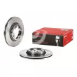 Jeu de 2 disques de frein avant BREMBO 09.5867.10 - Visuel 1