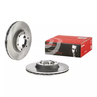 Jeu de 2 disques de frein avant BREMBO 09.5871.10