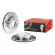 Jeu de 2 disques de frein avant BREMBO 09.5906.14 - Visuel 1
