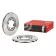Jeu de 2 disques de frein avant BREMBO 09.5957.10 - Visuel 1