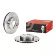 Jeu de 2 disques de frein avant BREMBO 09.6706.10 - Visuel 1