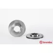 Jeu de 2 disques de frein avant BREMBO 09.6724.10 - Visuel 1